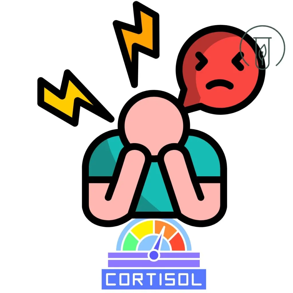 Kortisol