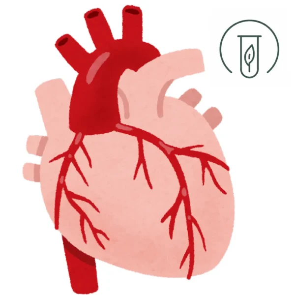 Hjärtat Hjärtat, Långtids-EKG